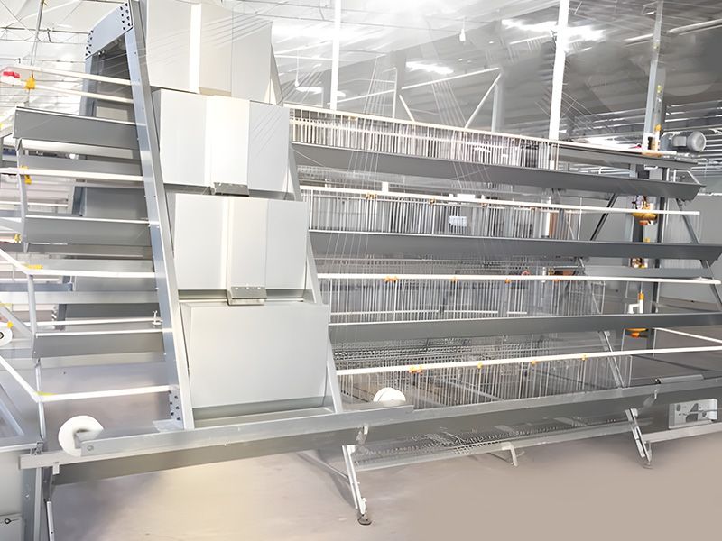 階梯式自動化養(yǎng)殖設(shè)備