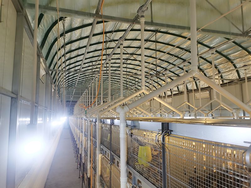 層疊式自動化鵪鶉養(yǎng)殖設備